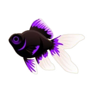 Purple Moors Goldfish